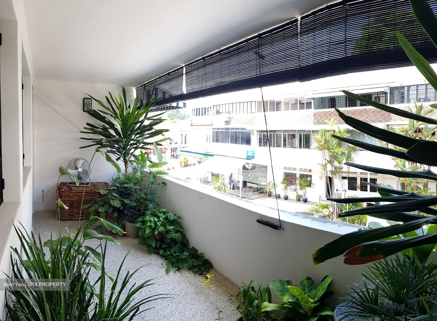 Tiong Bahru Estate (D3), Apartment #352447241